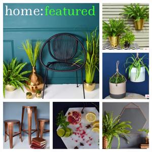 11903700_816422395143683_6331090365341384108_n