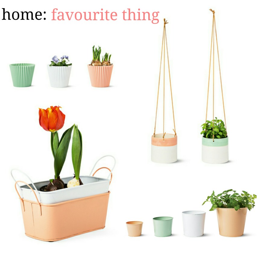 home: favourite thing [ Tiger&nbsp;]