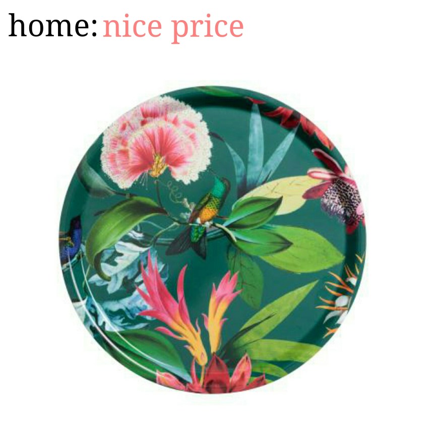 home: nice price [ tropical tray&nbsp;]
