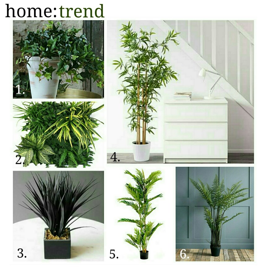 home: trend [ faux plants&nbsp;]
