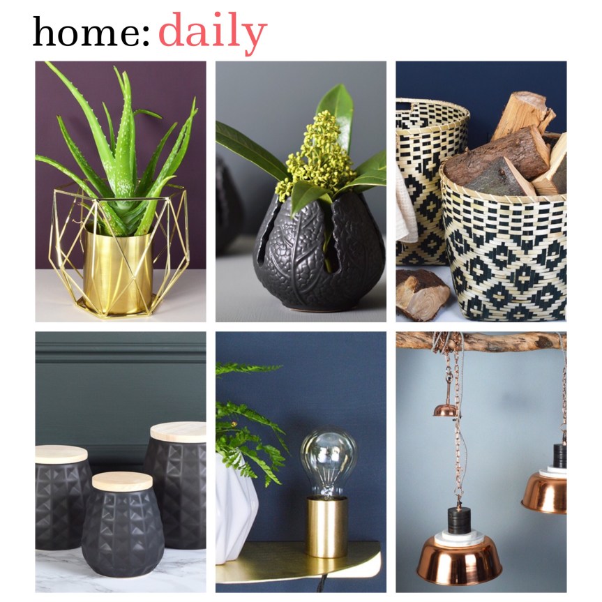 home: daily [ sale ] 