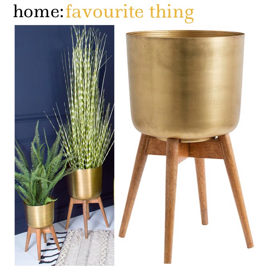 home: favourite thing [ indoor planter ] 