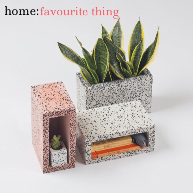 home: favourite thing [ planter&nbsp;]