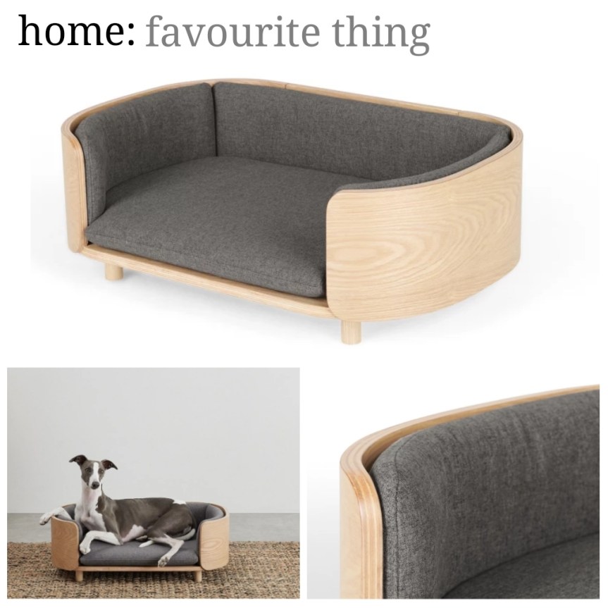 home: favourite thing [ dog bed&nbsp;]