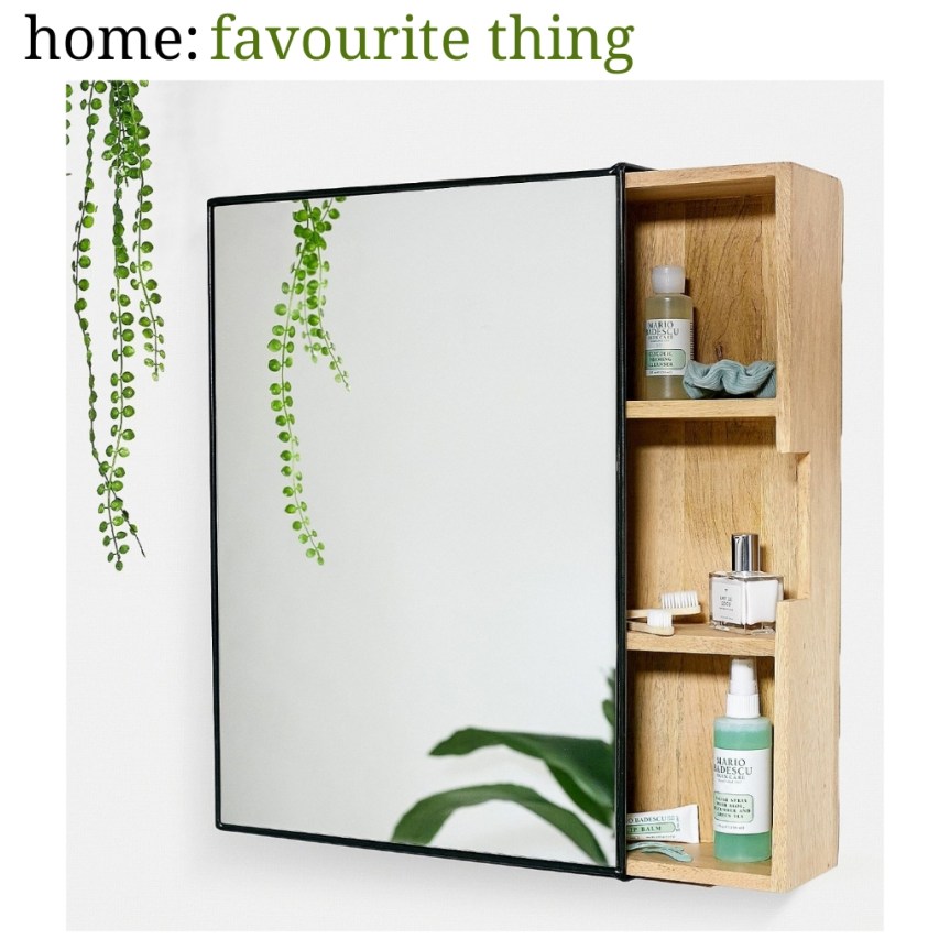 home: favourite thing [ mirror cabinet&nbsp;]
