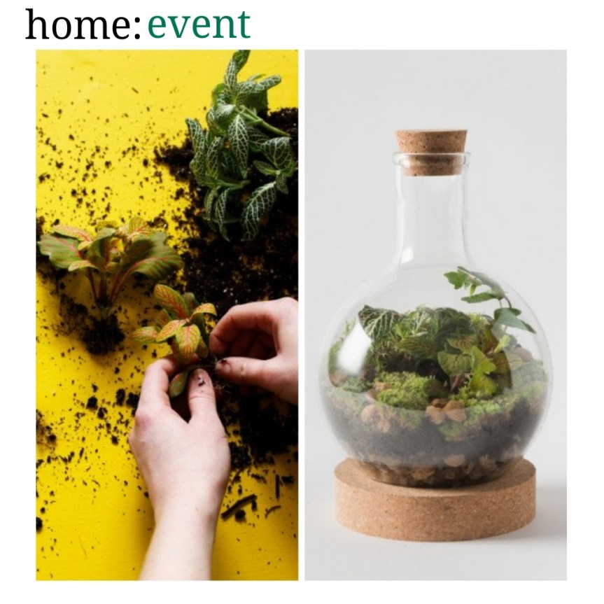 home: event [ terrarium workshop&nbsp;]