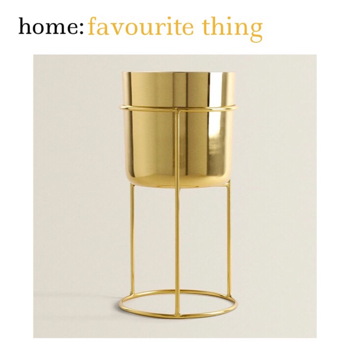 home: favourite thing [ planter&nbsp;]