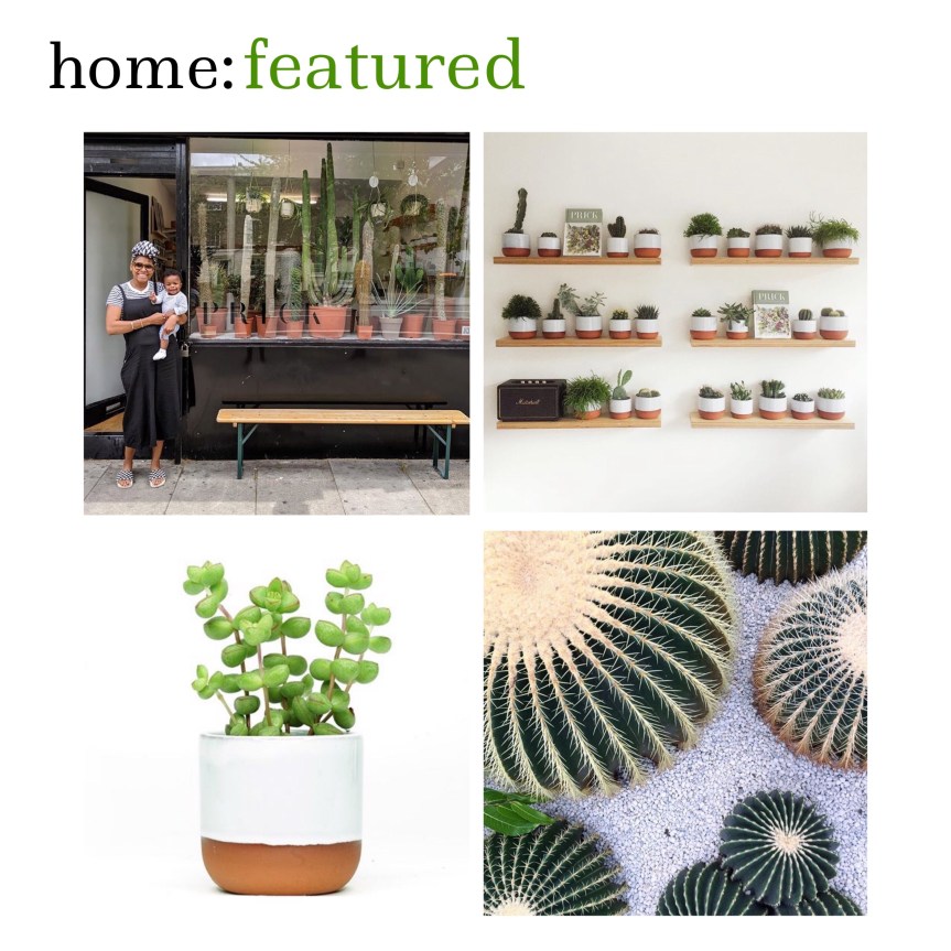 home: featured [ Prick London&nbsp;]