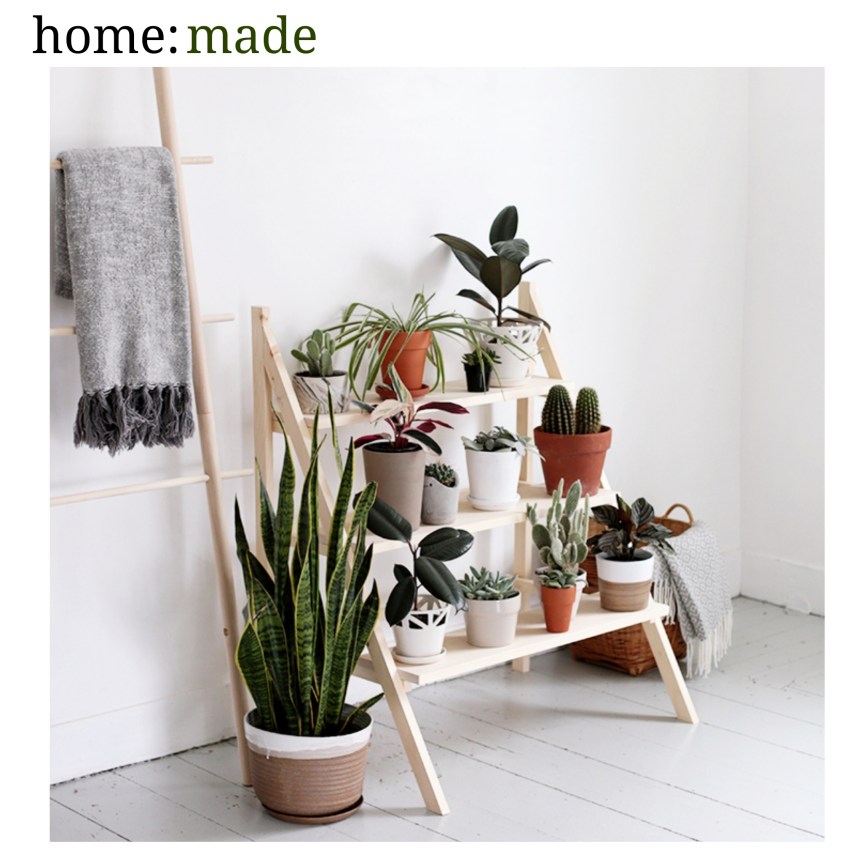 home: made [ plant ladder&nbsp;]