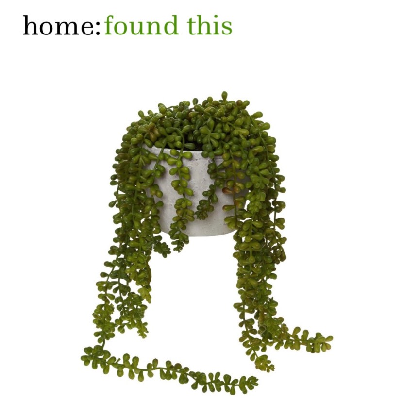 home: found this [ faux house plant&nbsp;]